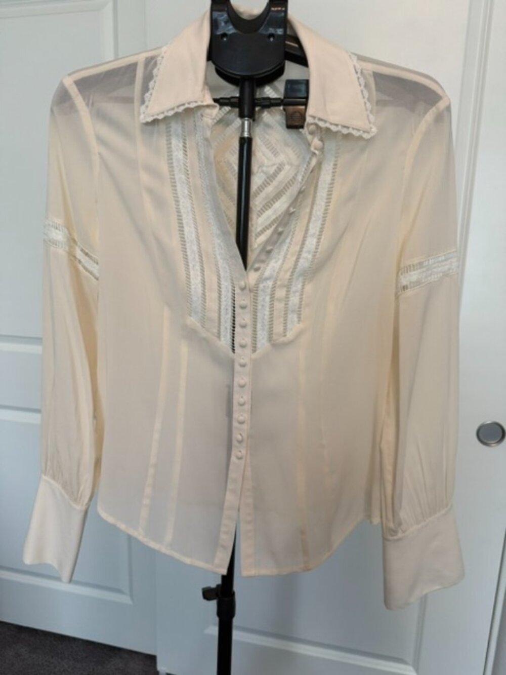 Bebe button down silk blouse (Sz L)